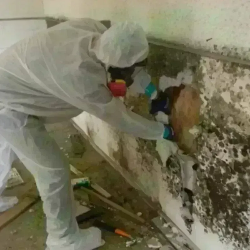 Mold Remediation and Removal in Hand County, SD