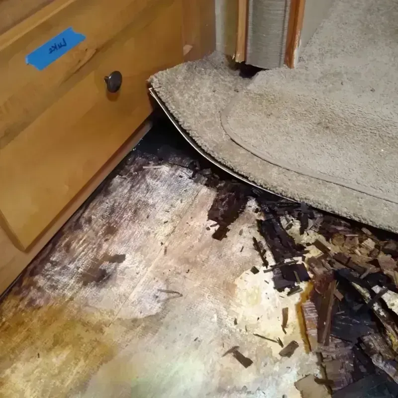 Wood Floor Water Damage in Hand County, SD